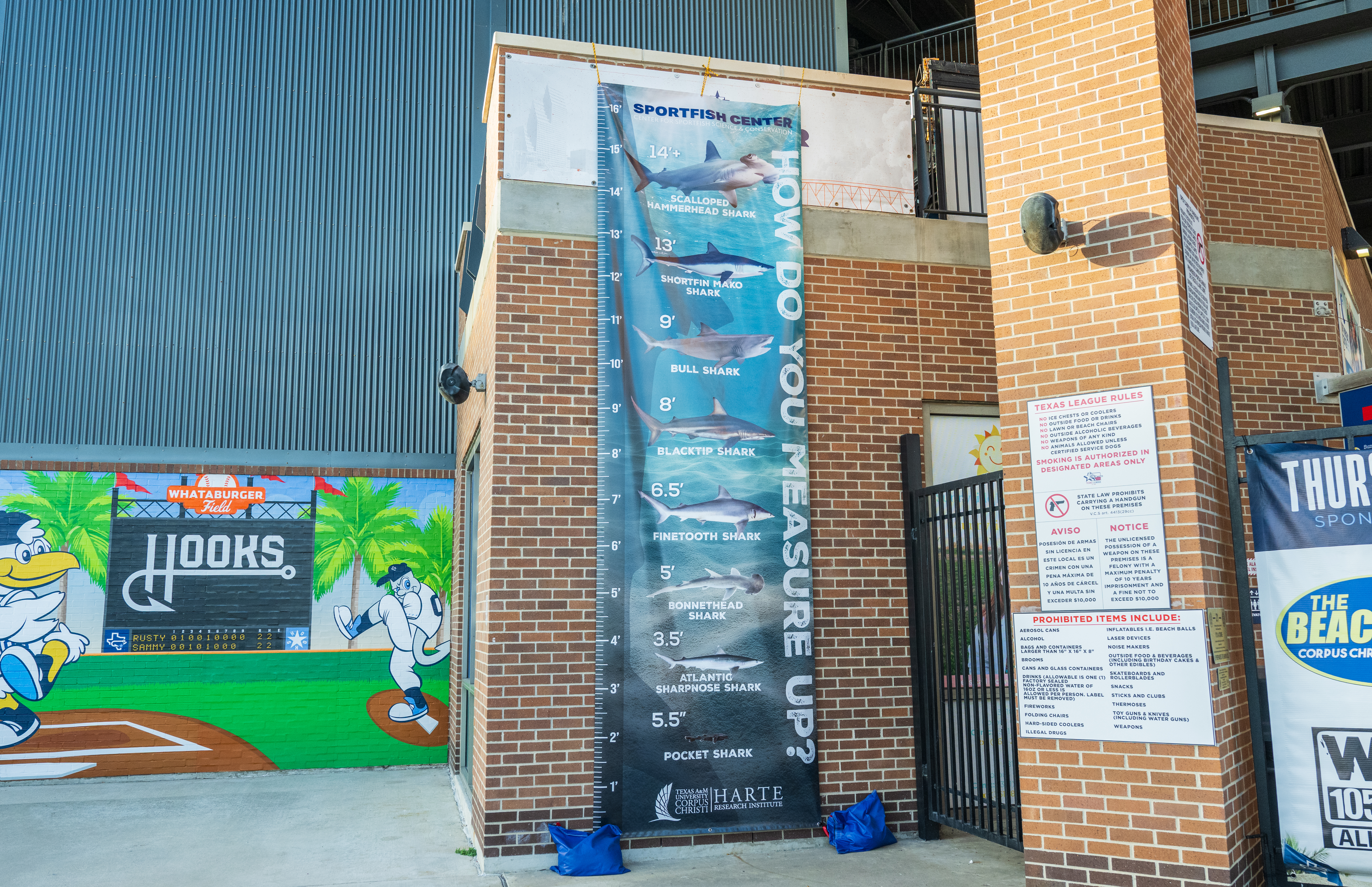 Photo of large shark poster 