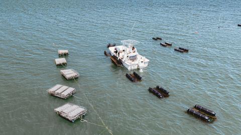 Texas oyster farm