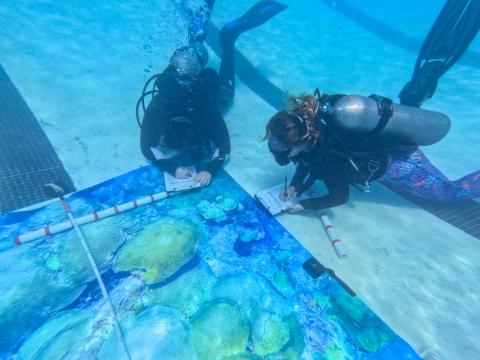 HRI researchers and students diving in university pool