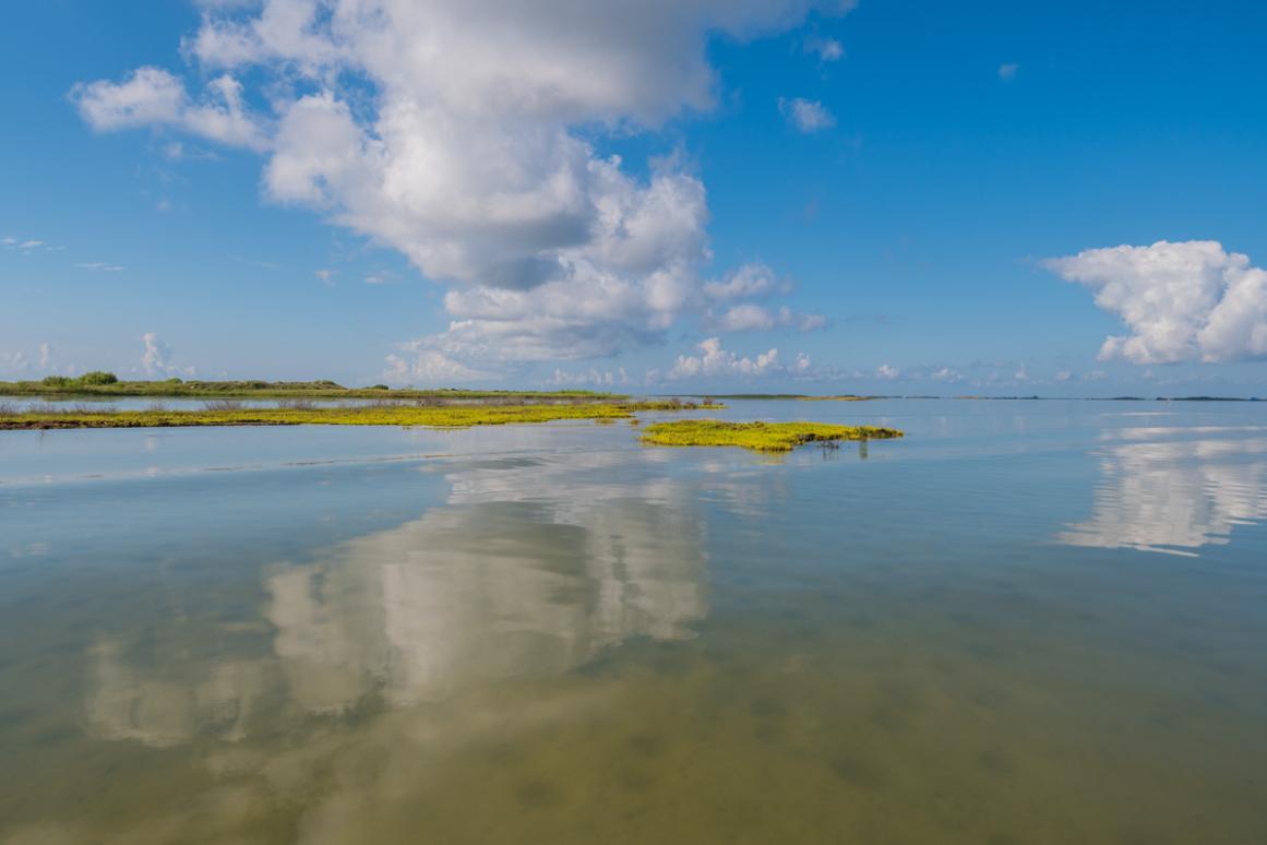 Upper Laguna Madre in Texas