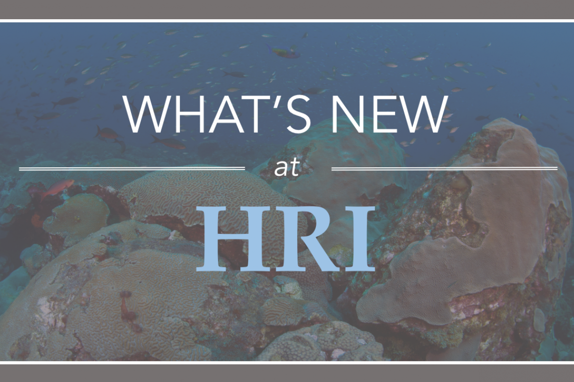 HRI newsletter