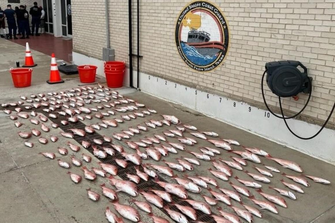 Red snapper lined up outside Coast Guard station in South Padre Island