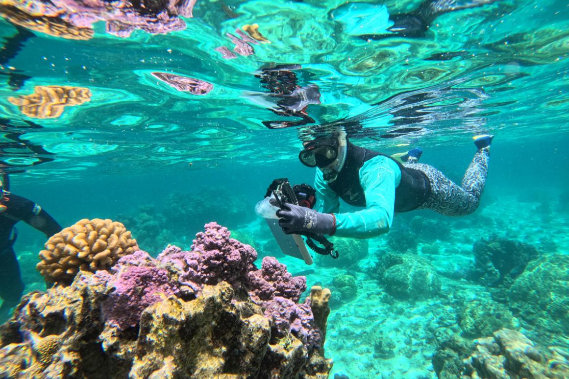 Dr. Bahr working on coral reef in Tahiti