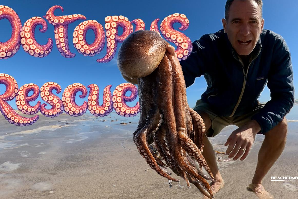 Octopus rescue cover