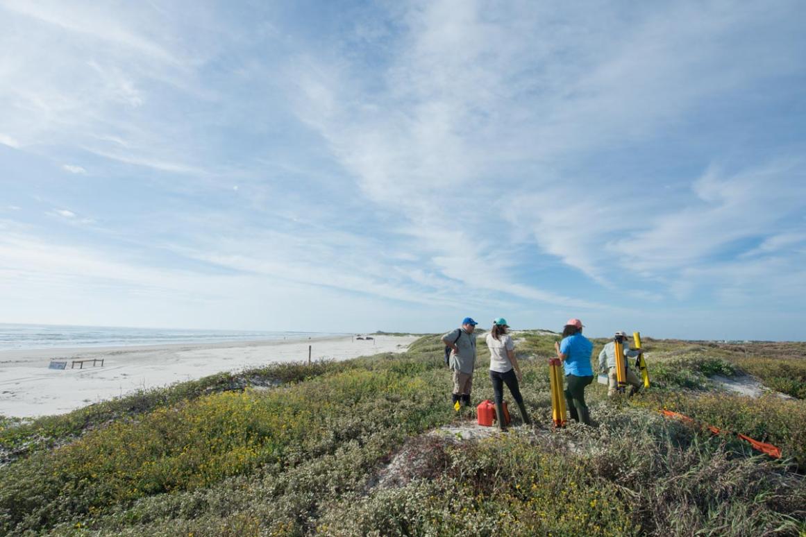 Surveying Texas beach