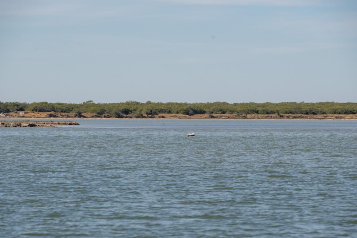 Baffin Bay Texas