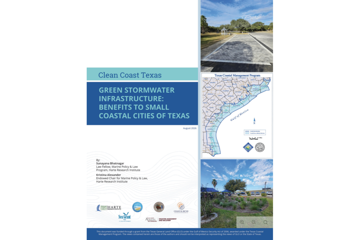 Green Stormwater Infrastructure