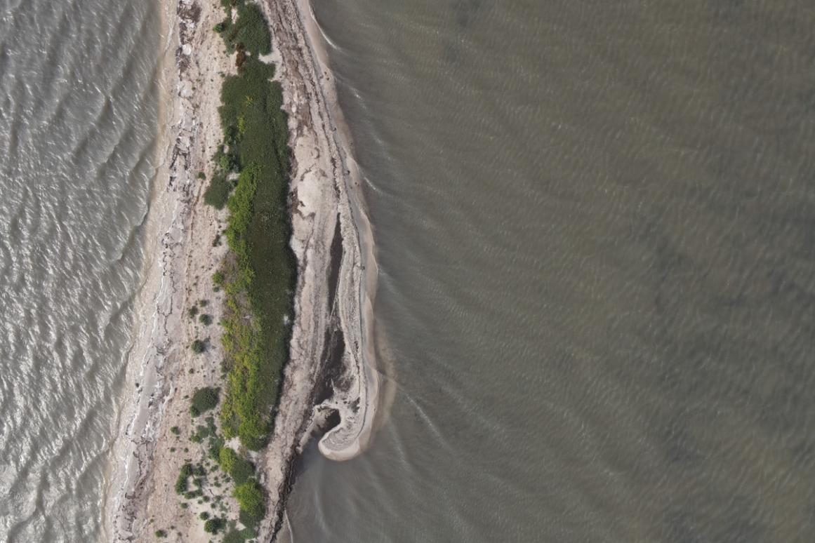 Aerial view of a rookery island in Texas