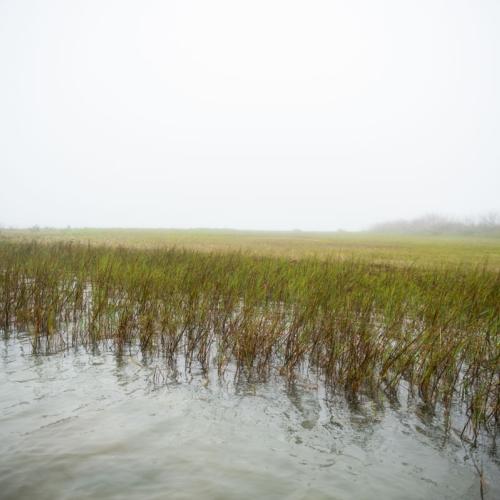 Matagorda bay