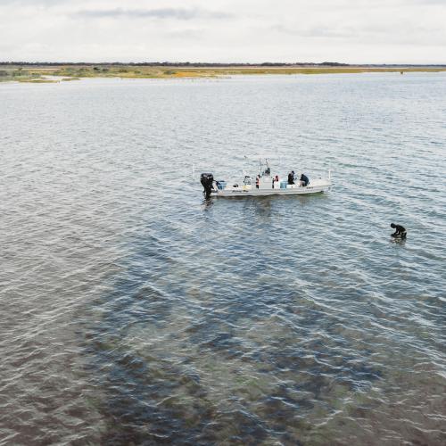 St. Charles Bay field work