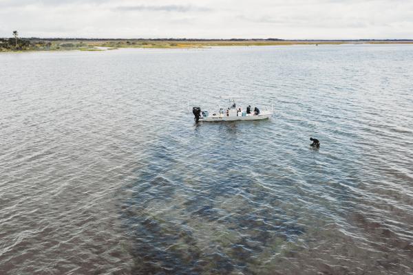 St. Charles Bay field work